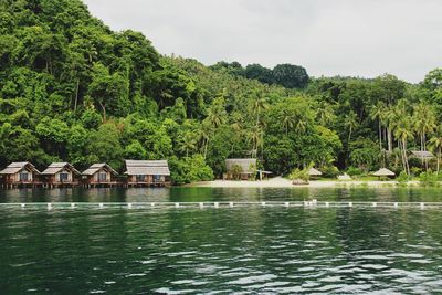 Scenic view of lake against trees