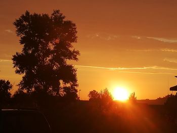 Silhouette tree against sky during sunset