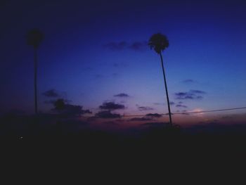 Low angle view of palm trees against sky