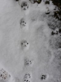 High angle view of snow covered field