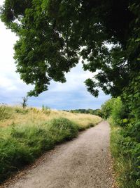 Road passing through grassy field