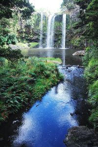 Scenic view of waterfall in forest