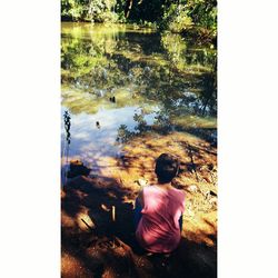 Rear view of a woman sitting by lake