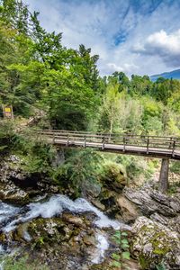 Bridge over river amidst trees against sky