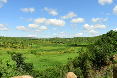 Scenic view of field against sky