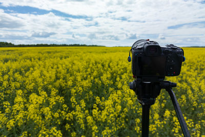 Modern professional mirrorless camera on tripod shooting yellow field on tripod, closeup