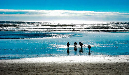 People enjoying at beach against sky