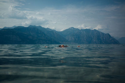 Ducks swimming in lake against mountains