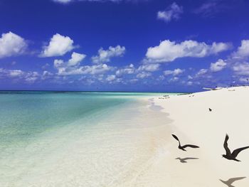 View of calm beach against blue sky