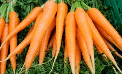 vegetable, food and drink, freshness, food, healthy eating, orange color, close-up, carrot, full frame, backgrounds, green color, high angle view, abundance, leaf, pumpkin, for sale, no people, raw food, day, still life