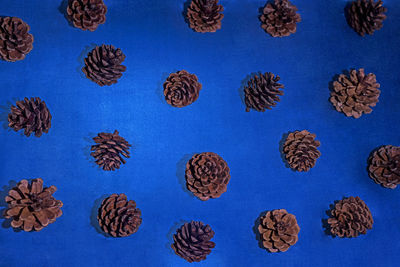 High angle view of candies against blue background