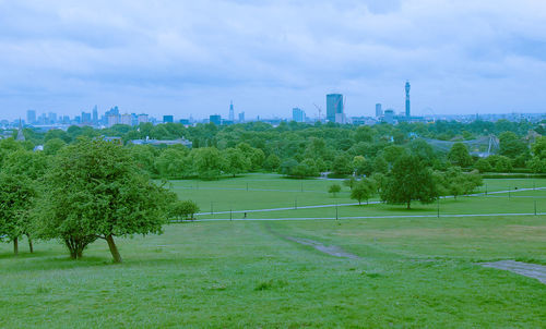 Trees growing on field against sky