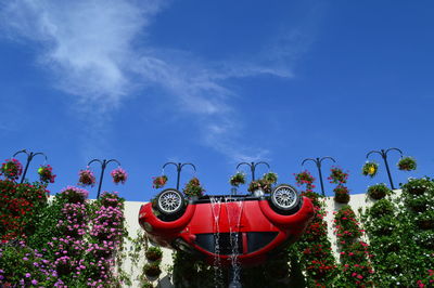 Low angle view of red flowering plants in park against blue sky