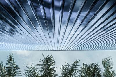 Low angle view of palm trees against sky