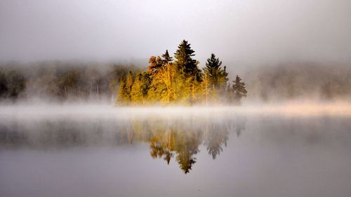 Trees by lake against sky