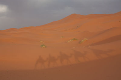 Scenic view of desert