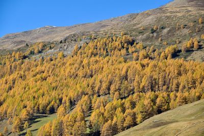 Scenic view of mountains against clear sky