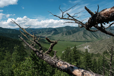 Scenic view of landscape and mountains against sky