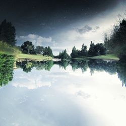 Reflection of trees in water