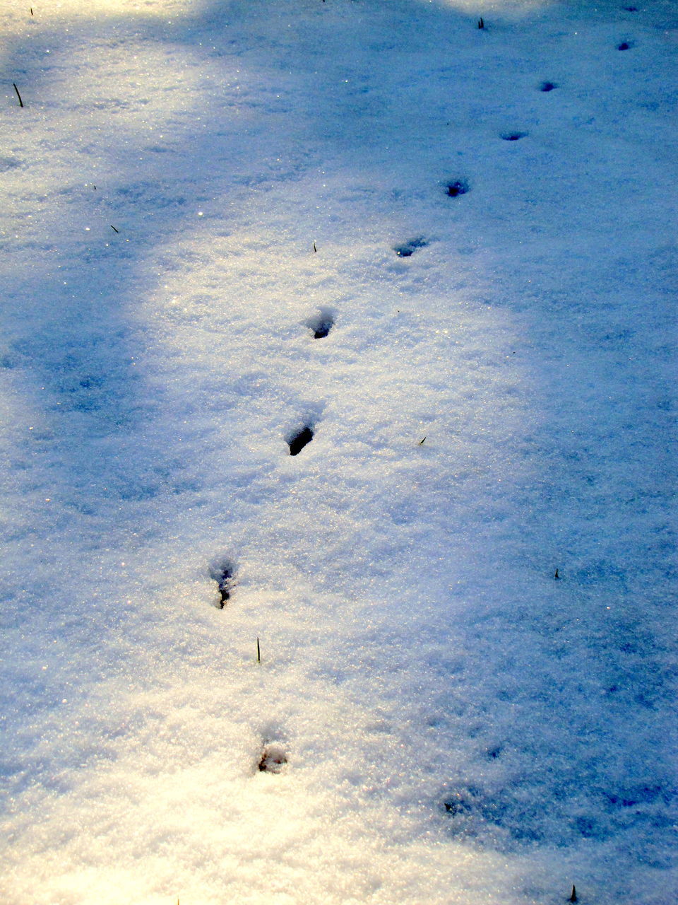 HIGH ANGLE VIEW OF SNOW COVERED LAND