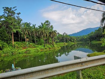 Scenic view of lake by trees against sky