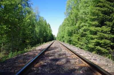 Railroad tracks amidst trees against clear sky