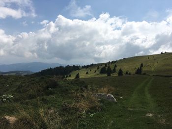 Scenic view of field against sky