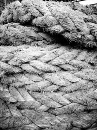 Full frame shot of ropes