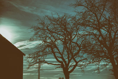 Low angle view of bare tree against sky