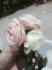 Close-up of hand holding bouquet