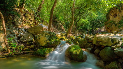 Stream flowing through rocks