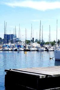 Boats moored at harbor