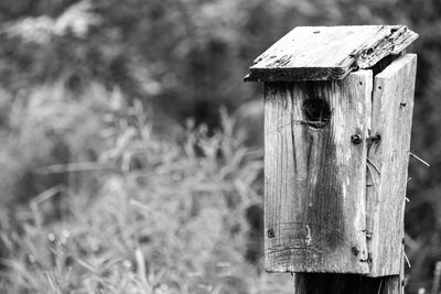 Close-up of birdhouse on wooden post