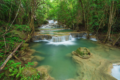 Scenic view of waterfall in forest