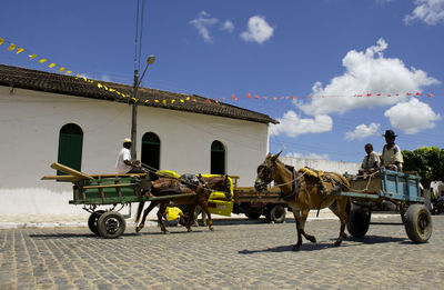 Horse cart