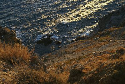 Scenic view of beach