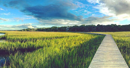 Scenic view of field against cloudy sky