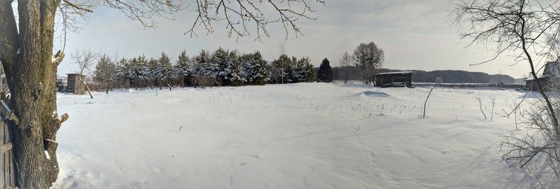 Trees on snow field against sky during winter