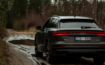 Rear view of car on road in forest