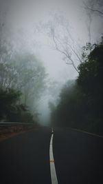 Road amidst trees against sky