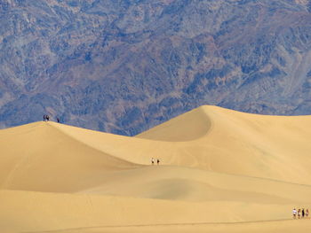 Scenic view of desert