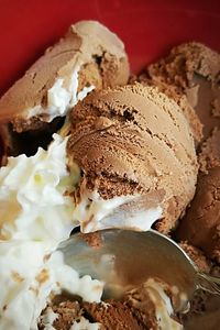 Close-up of ice cream in plate