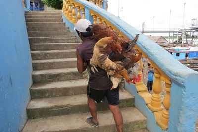 Full length of man with dog on staircase