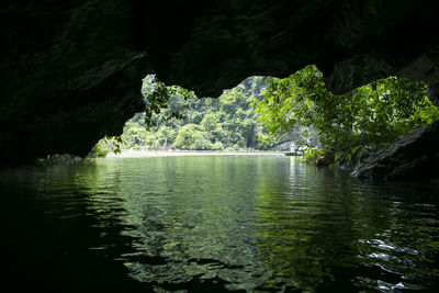 Scenic view of lake in forest