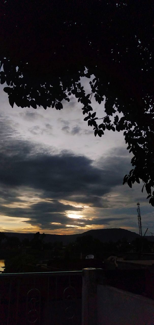 SILHOUETTE TREES AGAINST SKY AT SUNSET