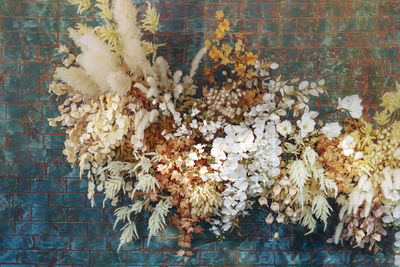 High angle view of white flowering plant against wall