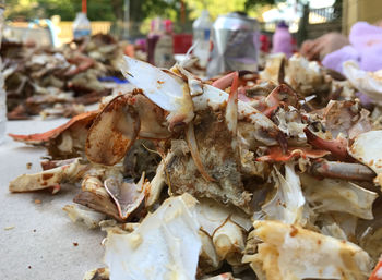 Close-up of crab for sale in market