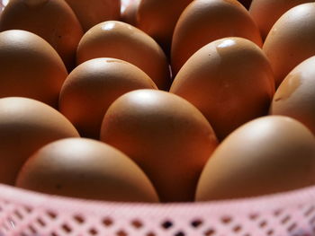 Close-up of eggs in container