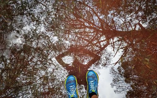Low section of person standing by trees