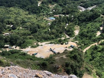 High angle view of airplane flying above trees